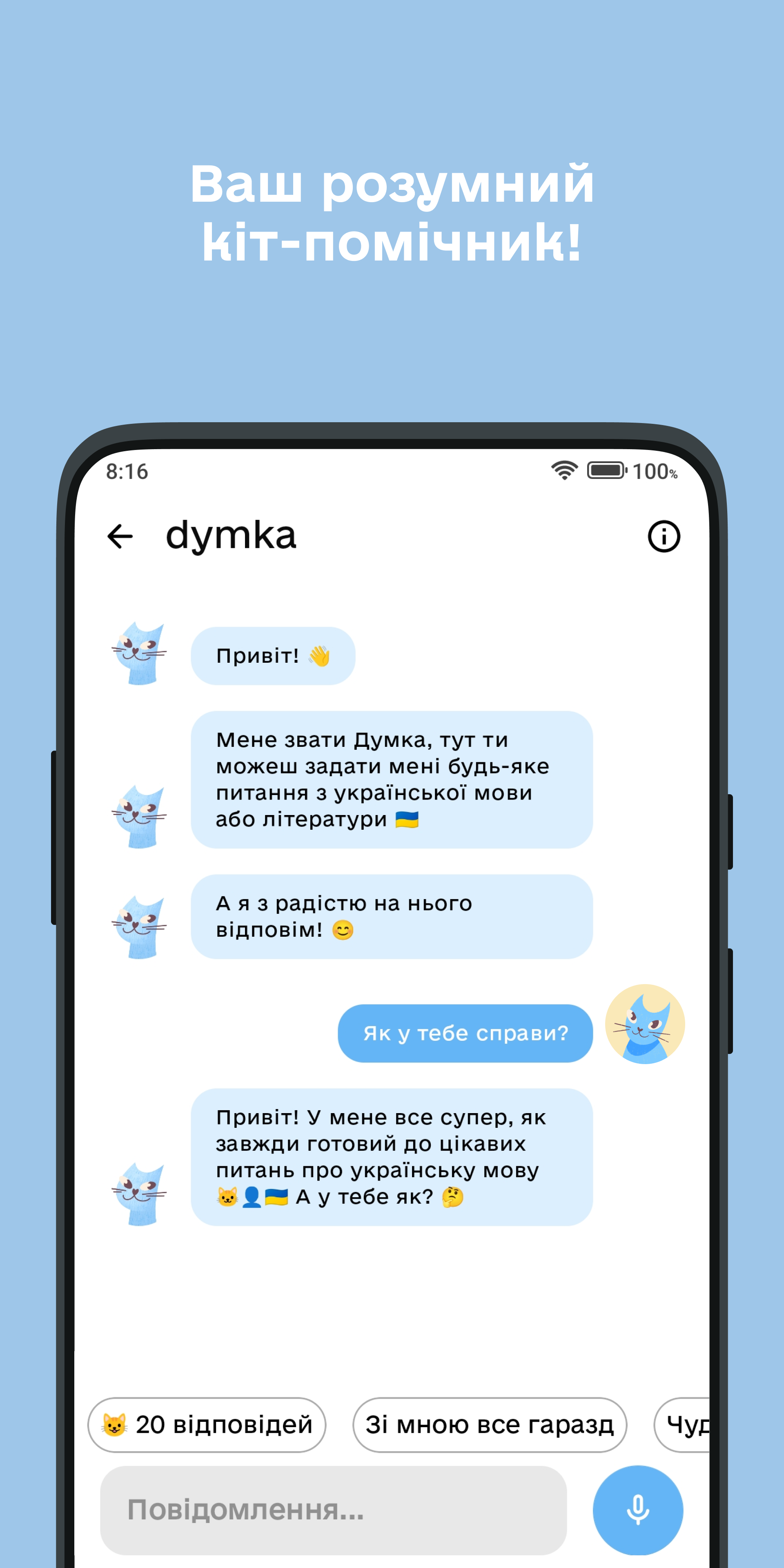 Кіт-помічник